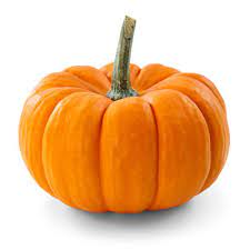 Nisam tikva bez korena